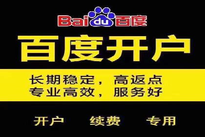 XX领域竞价广告的投放策略及效果展示
